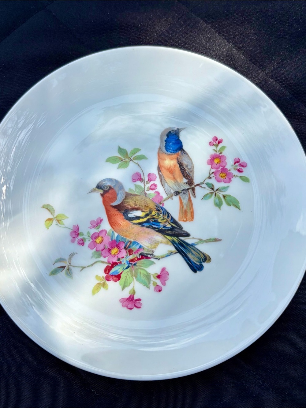 AK Kaiser West Germany Bird Floral Porcelain Plate